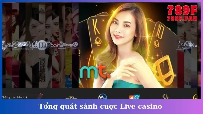 Tổng quát sảnh cược Live casino